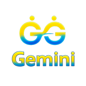 Gemini Technology Co., Ltd.